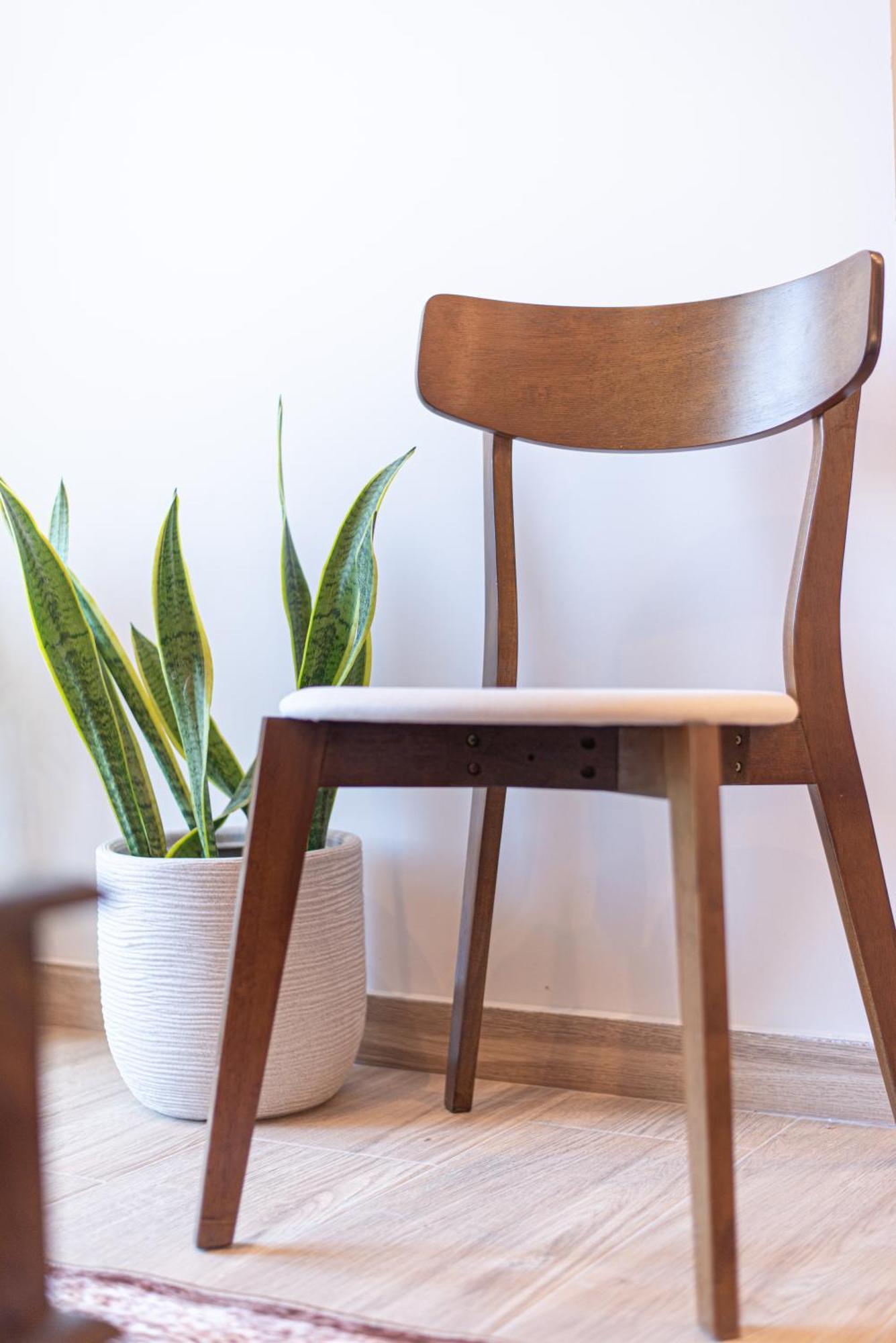 Kanela Apartment Oinofyta エクステリア 写真